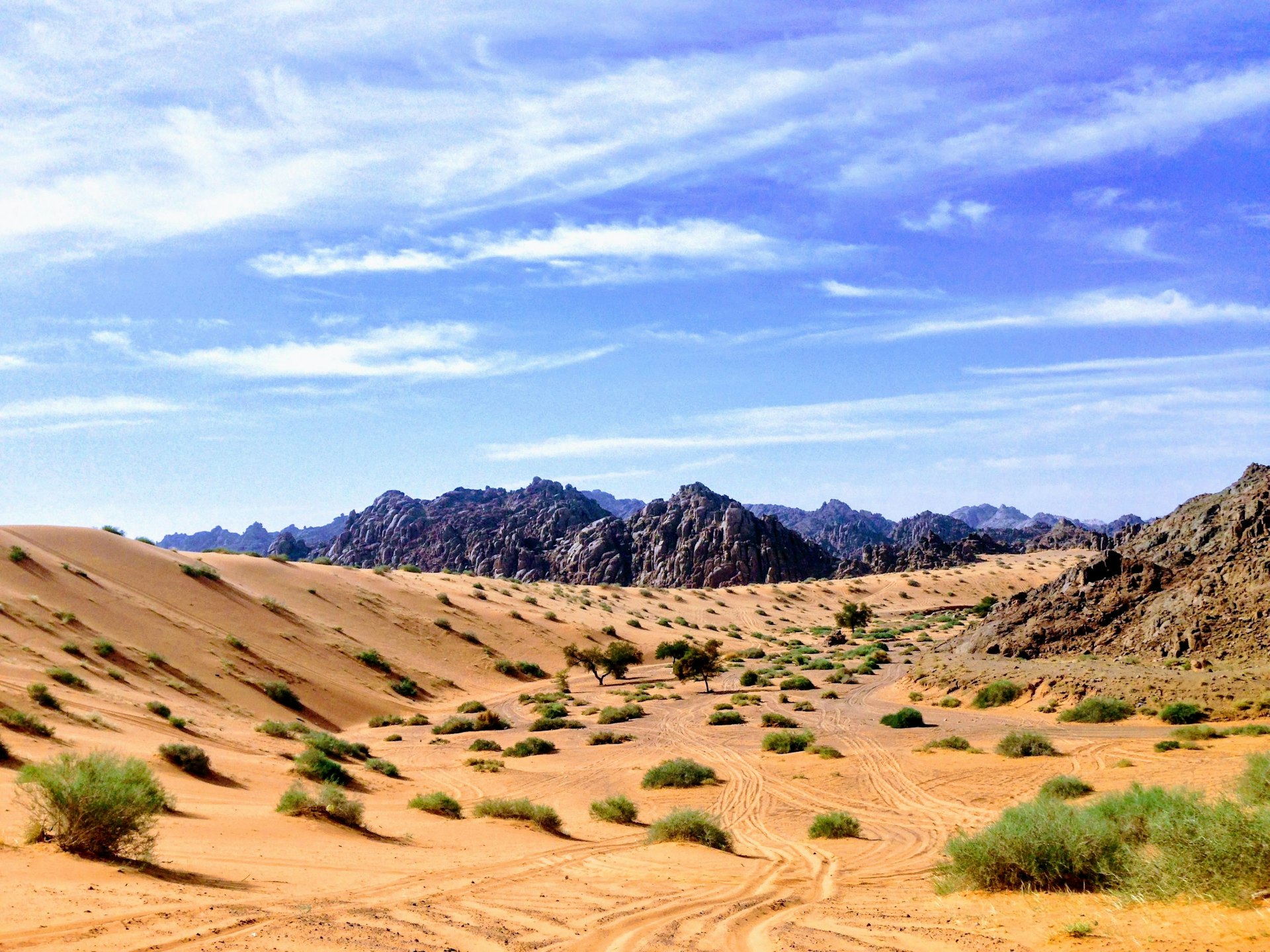 Open desert land treated with bio-based binder