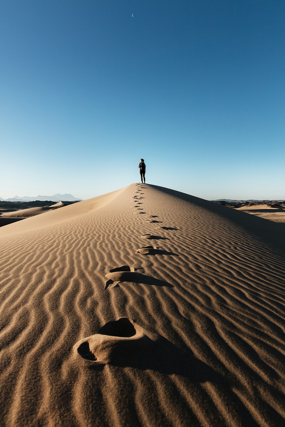 NEOM desert landscape
